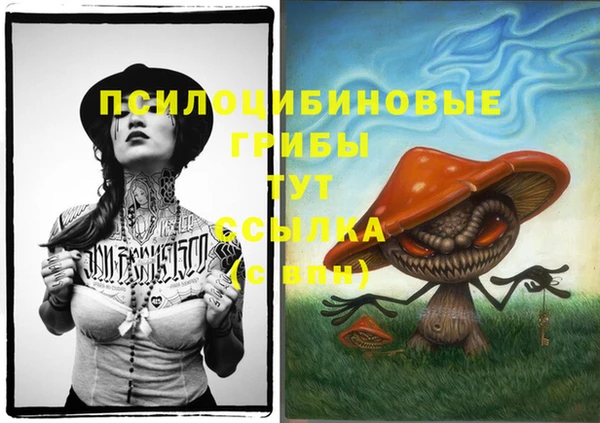спайс Пестово