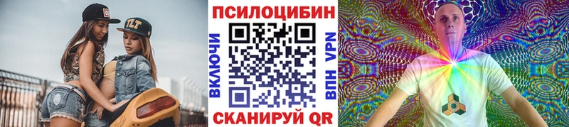 Псилоцибиновые грибы Cubensis  Тюкалинск 